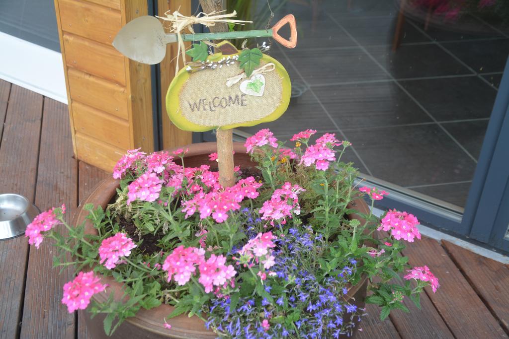 Les Condamines Bed and Breakfast Antoingt Exteriör bild